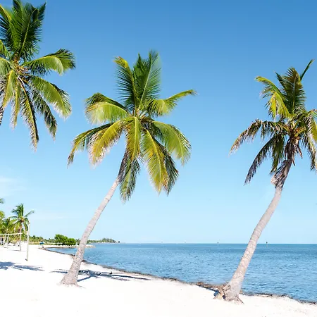 Parrot Key Hotel & Villas-2